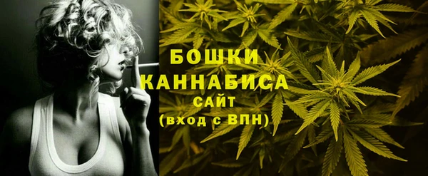 молекула духа Инта
