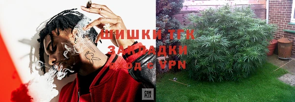 молекула духа Инта
