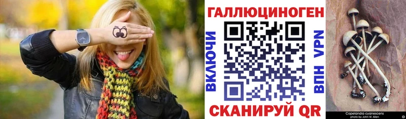 Купить  Нюрба  Псилоцибиновые грибы мухоморы 